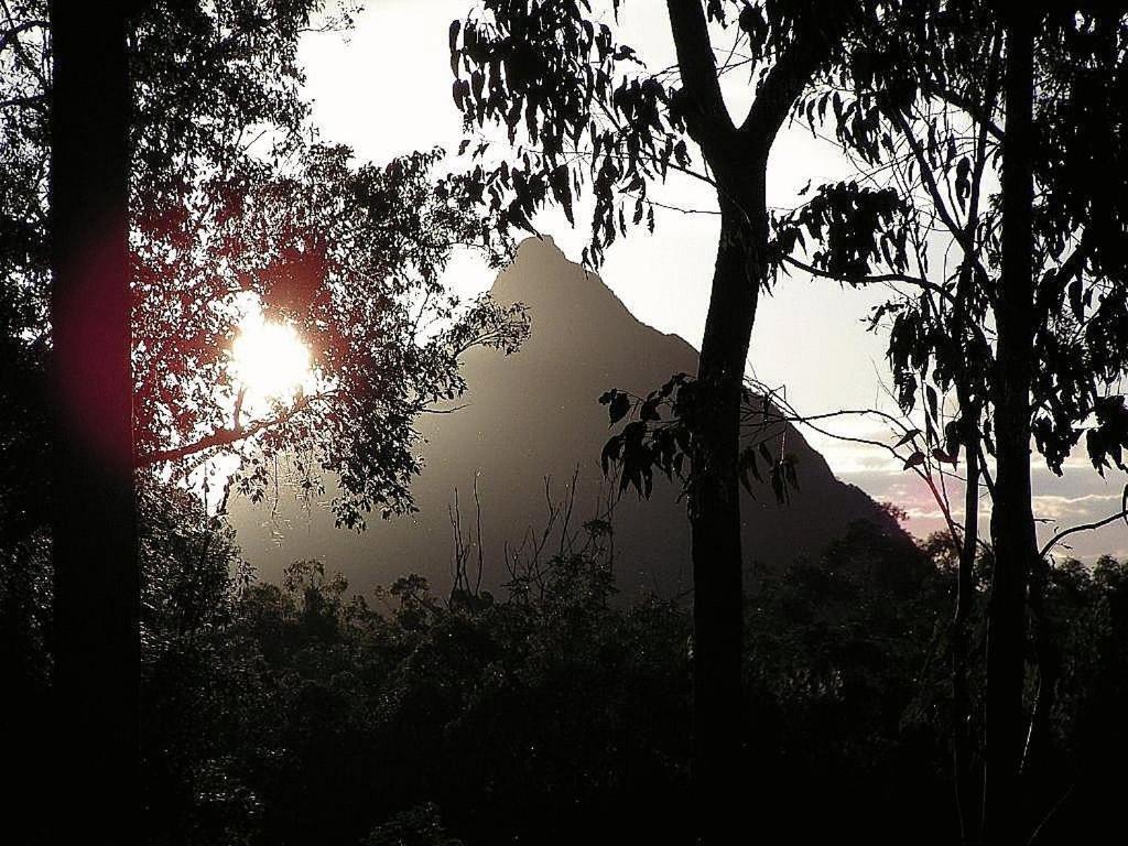 Glass House Mountains Ecolodge ภายนอก รูปภาพ